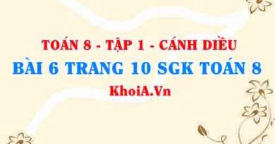 Bài 6 trang 10 Toán 8 tập 1 SGK Cánh diều